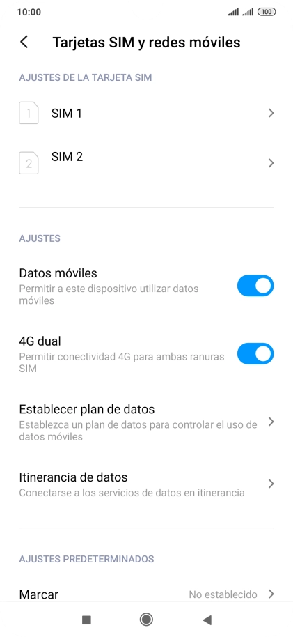 Pulsa Itinerancia de datos.
