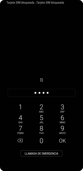 Si lo solicita el teléfono, introduce el código PIN y pulsa OK.