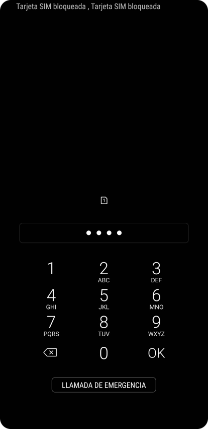 Si lo solicita el teléfono, introduce el código PIN y pulsa OK.