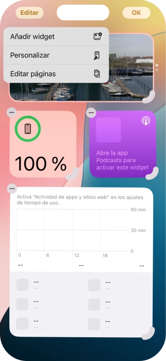 Pulsa Añadir widget.