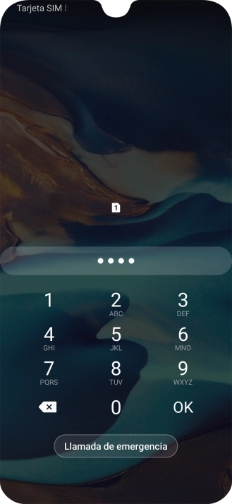 Si lo solicita el teléfono, introduce el código PIN y pulsa OK.
