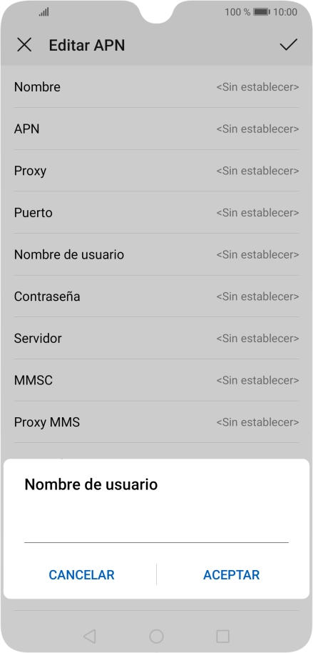 Introduce wap@wap y pulsa ACEPTAR.