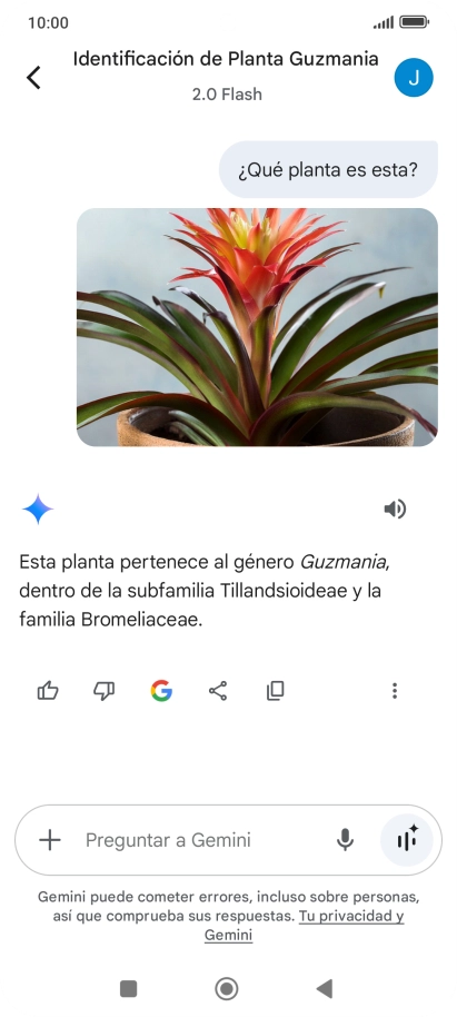 Sigue las indicaciones de la pantalla para escribir o decir en alto la pregunta deseada. Puedes adjuntar fotografías o documentos y hacer preguntas acerca de ellos.