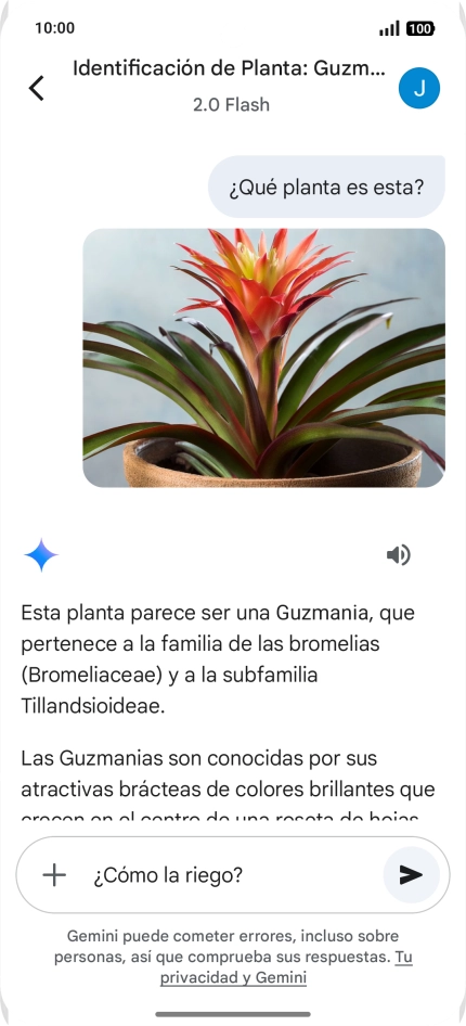 Sigue las indicaciones de la pantalla para escribir o decir en alto más preguntas y continuar la conversación.