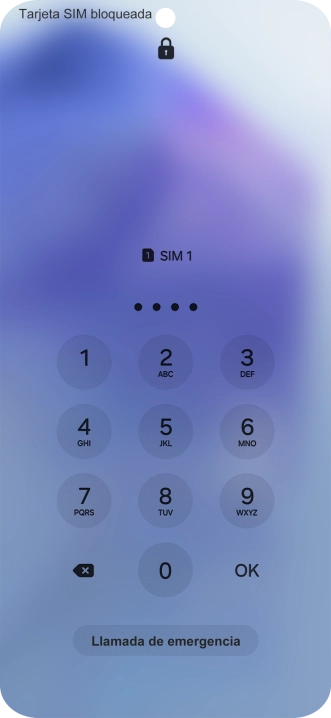 Si es necesario desbloquear la tarjeta SIM, introduce el código PIN y pulsa OK.