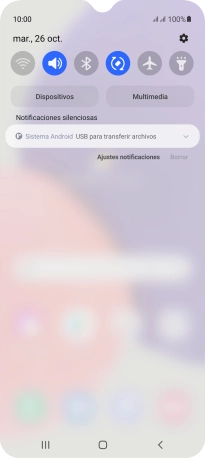 Pulsa Sistema Android.