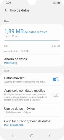 El consumo total de datos se visualiza ahora en la pantalla.