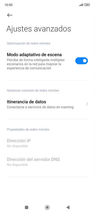 Pulsa Itinerancia de datos.