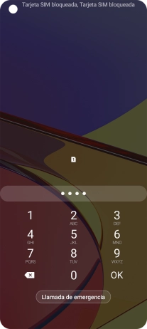 Si lo solicita el teléfono, introduce el código PIN y pulsa OK.