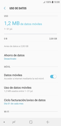 El consumo total de datos se visualiza ahora en la pantalla.