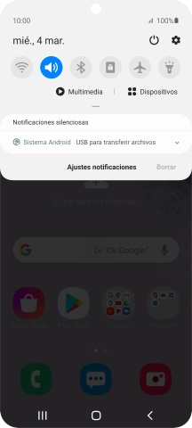 Pulsa Sistema Android.