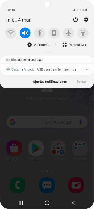 Pulsa Sistema Android.