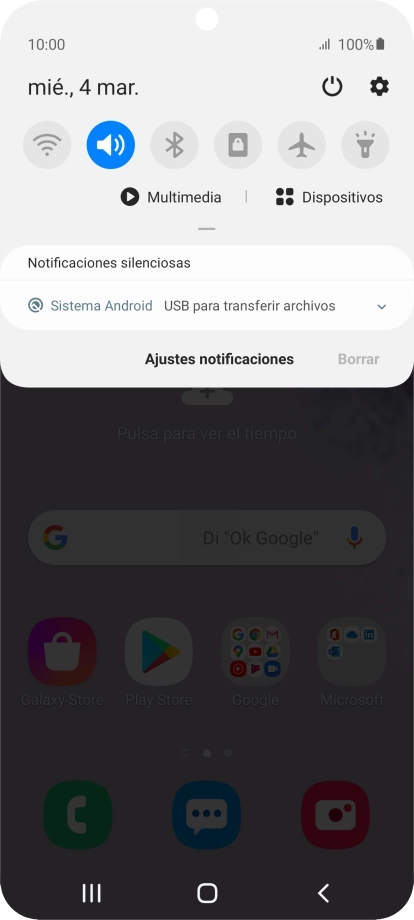 Pulsa Sistema Android.
