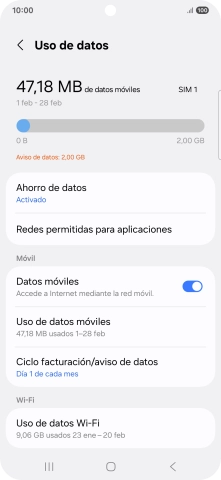 El consumo total de datos se visualiza ahora en la pantalla.