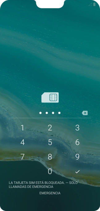 Si lo solicita el teléfono, introduce el código PIN y pulsa el icono de aceptar.