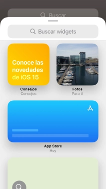 Pulsa el widget deseado.