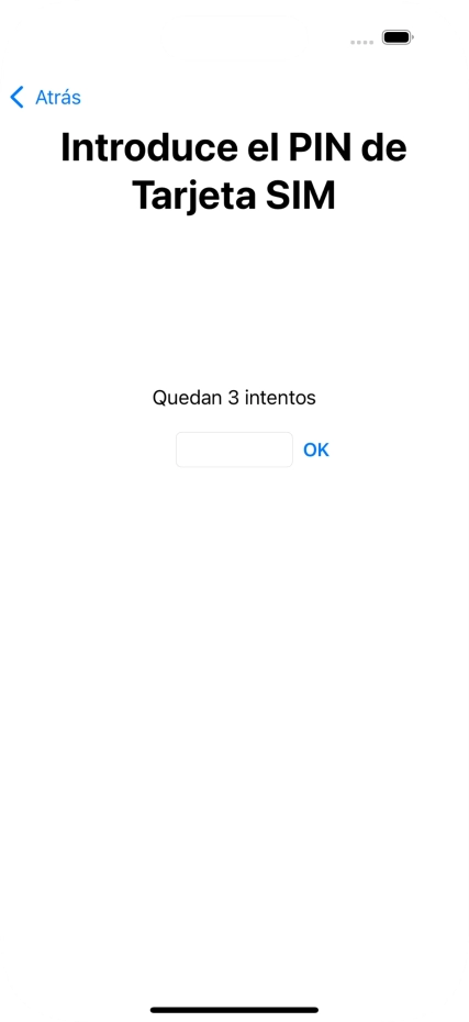 Si es necesario desbloquear la tarjeta SIM, introduce el código PIN y pulsa OK.