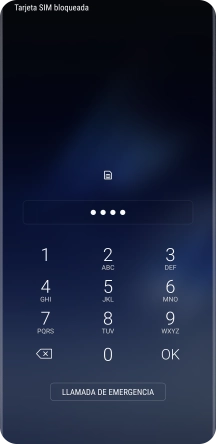 Si lo solicita el teléfono, introduce el código PIN y pulsa OK.