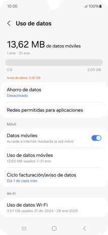 El consumo total de datos se visualiza ahora en la pantalla.