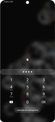 Si lo solicita el teléfono, introduce el código PIN y pulsa OK.
