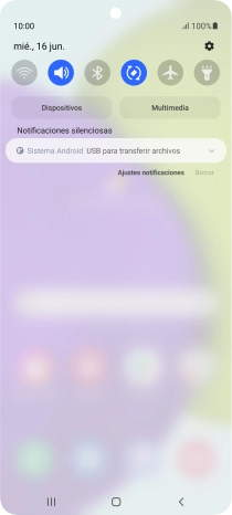 Pulsa Sistema Android.