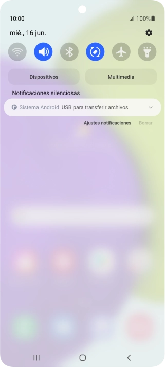 Pulsa Sistema Android.