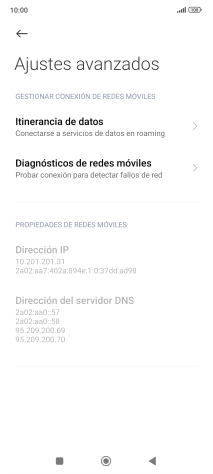 Pulsa Itinerancia de datos.