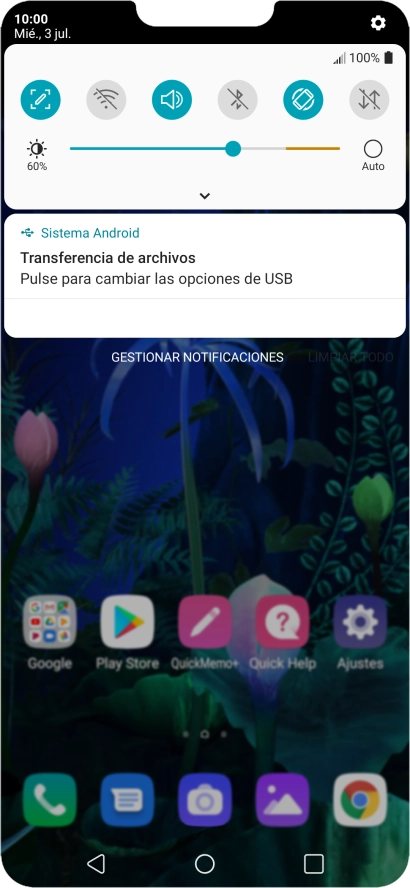 Pulsa Pulse para cambiar las opciones de USB.
