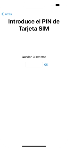 Si es necesario desbloquear la tarjeta SIM, introduce el código PIN y pulsa OK.