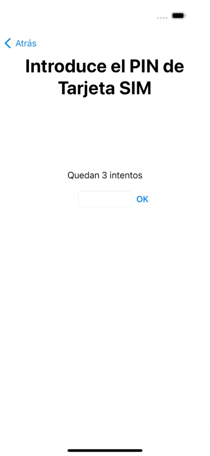 Si es necesario desbloquear la tarjeta SIM, introduce el código PIN y pulsa OK.