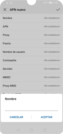 Introduce Vodafone Internet y pulsa ACEPTAR.