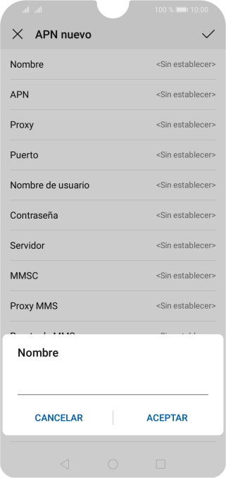 Introduce Vodafone Internet y pulsa ACEPTAR.