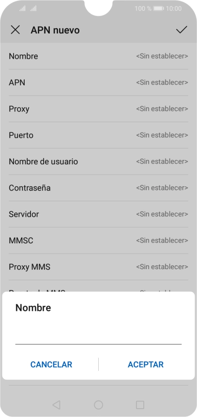 Introduce Vodafone Internet y pulsa ACEPTAR.