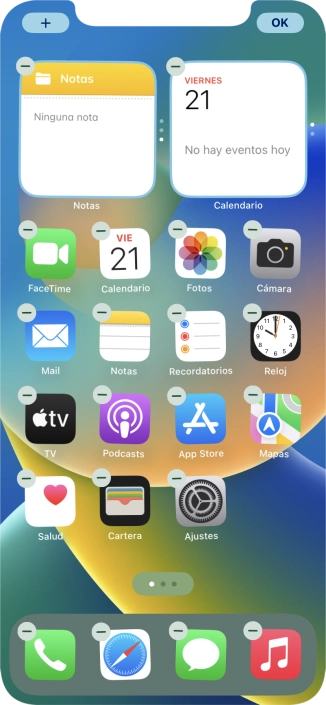 Pulsa el icono de página de pantalla de inicio.