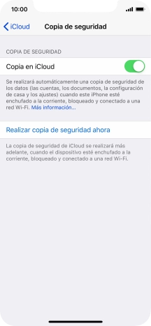 Pulsa Realizar copia de seguridad ahora y espera mientras se hace una copia de seguridad del contenido de la memoria del teléfono.