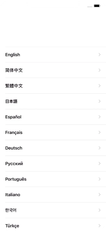 Pulsa el idioma deseado.