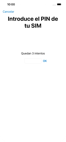 Si es necesario desbloquear la tarjeta SIM, introduce el código PIN y pulsa OK.