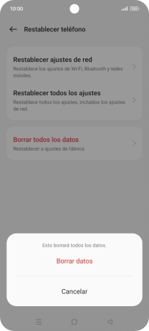Pulsa Borrar datos.