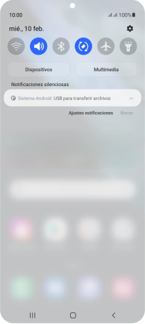 Pulsa Sistema Android.