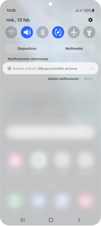Pulsa Sistema Android.