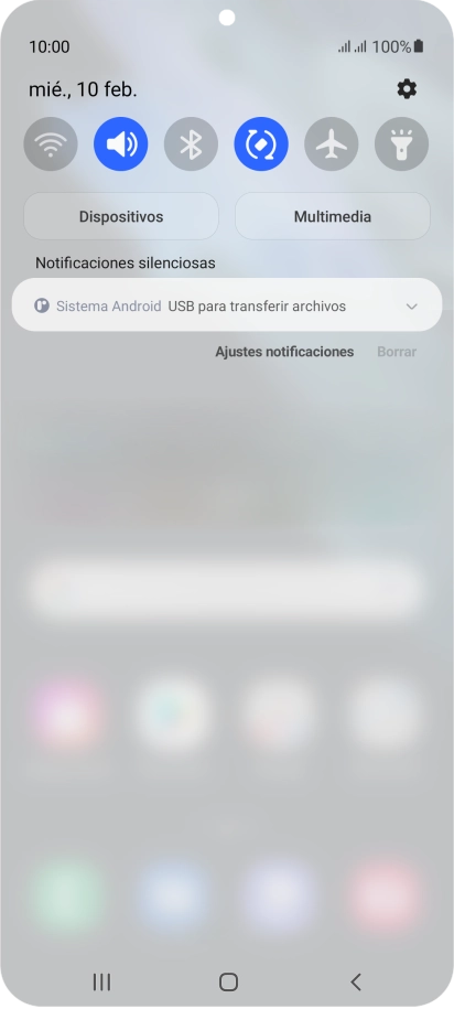 Pulsa Sistema Android.