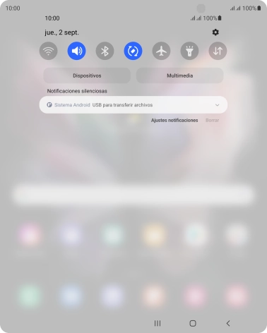 Pulsa Sistema Android.