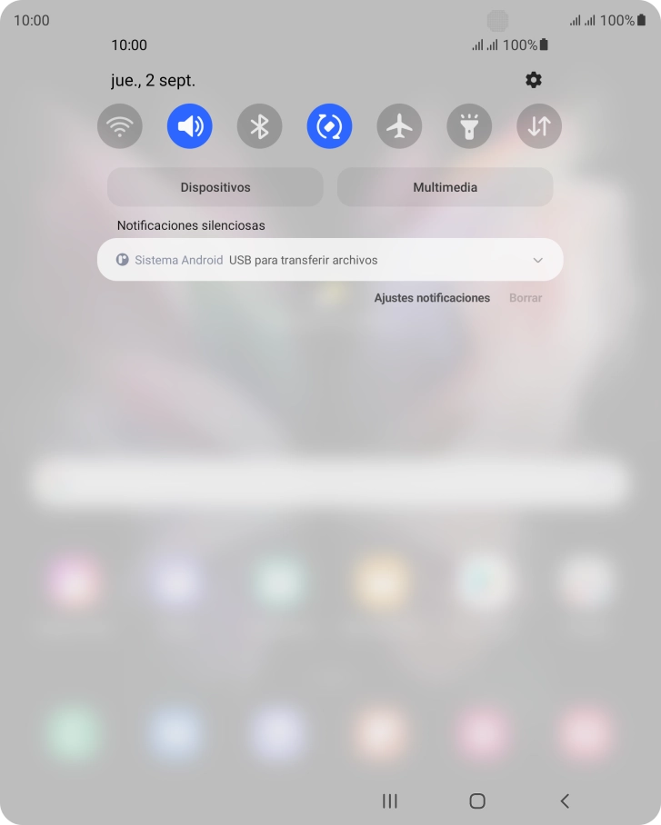 Pulsa Sistema Android.