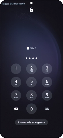 Si lo solicita el teléfono, introduce el código PIN y pulsa OK.