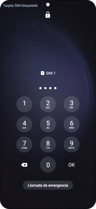 Si lo solicita el teléfono, introduce el código PIN y pulsa OK.