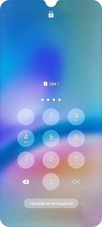 Si es necesario desbloquear la tarjeta SIM, introduce el código PIN y pulsa OK.
