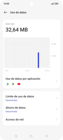 El consumo total de datos se visualiza ahora en la pantalla.