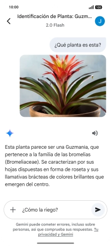 Sigue las indicaciones de la pantalla para escribir o decir en alto más preguntas y continuar la conversación.