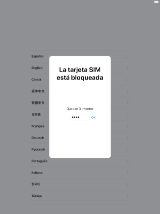 Si es necesario desbloquear la tarjeta SIM, introduce el código PIN y pulsa OK.