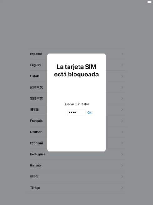 Si es necesario desbloquear la tarjeta SIM, introduce el código PIN y pulsa OK.